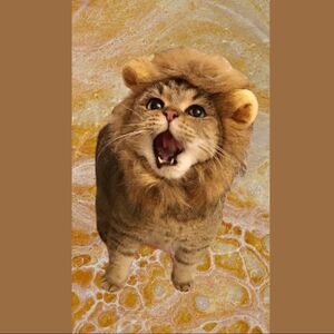 Lion Face Costume 